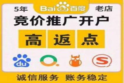 SEM专员案例：跨平台广告投放策略